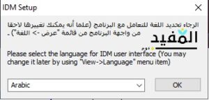 اللغة IDM